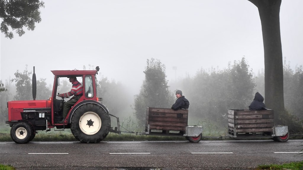 Gezondheidsrisico's arbeidsmigranten in Nederland nog groter dan gedacht