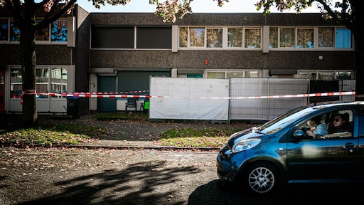 Vrouw die moord op halfzus livestreamde in Den Bosch had volgens experts psychose