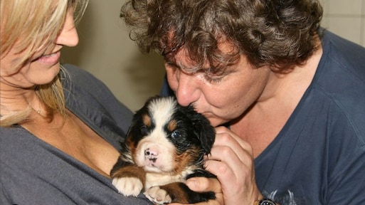 Hond van familie Froger overleden: 'Zo ontzettend veel pijn'