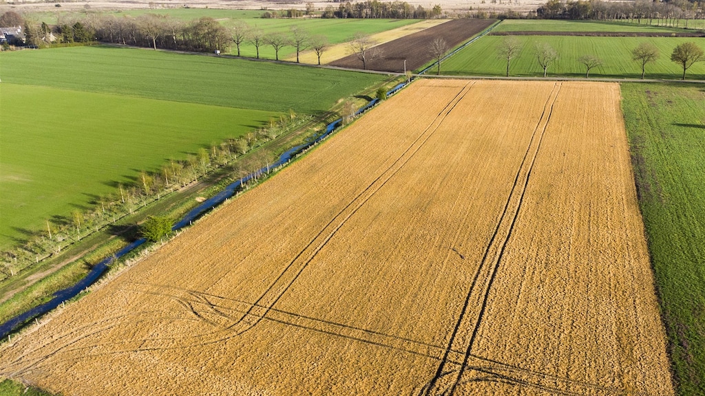 Wordt glyfosaat verboden? Stof in Roundup is veilig beoordeeld, maar zorgen zijn groot