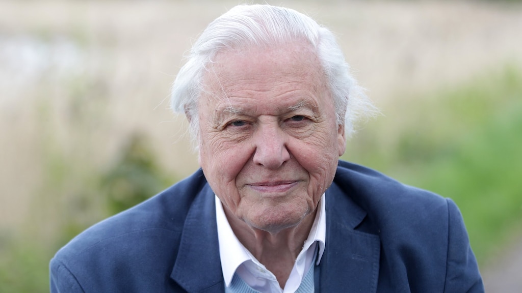 David Attenborough onderscheiden als Voorvechter van de Aarde