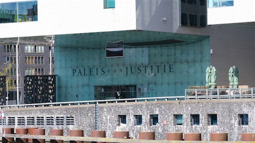 Straf voor jongen die per ongeluk neefje doodschoot