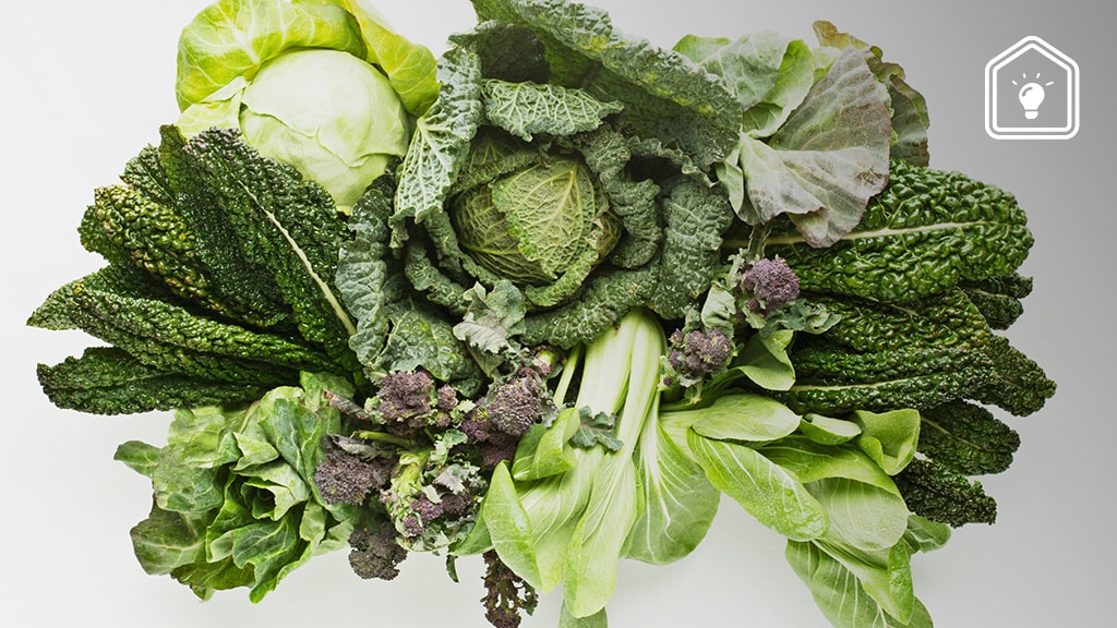Zo krijg je slappe sla en bladgroenten weer vers en knapperig