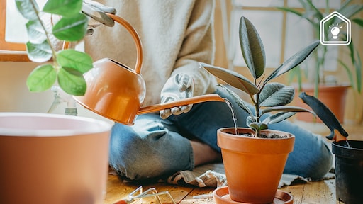 Om deze reden is het slim om een tampon in je plantenpot doen