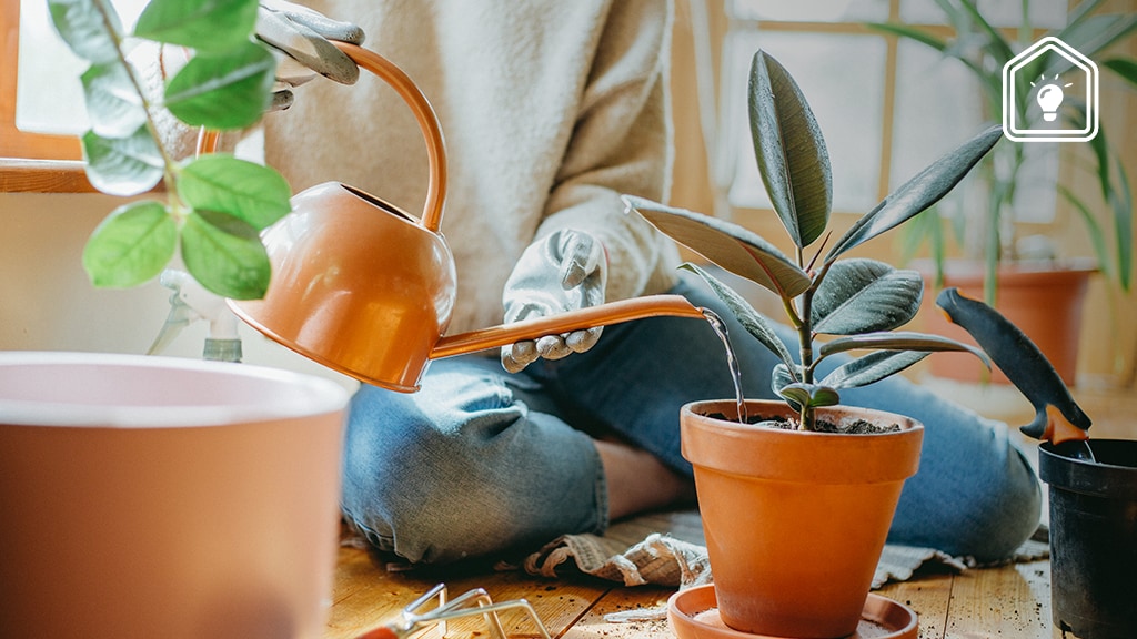 Om deze reden is het slim om een tampon in je plantenpot doen