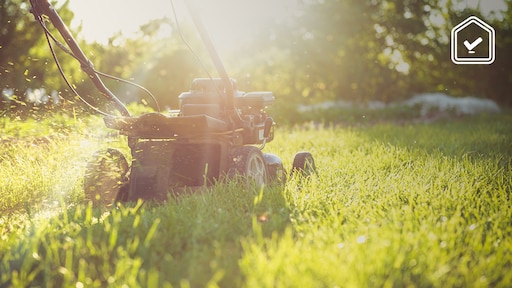 Zo vaak moet je je gazon maaien voor het mooiste resultaat
