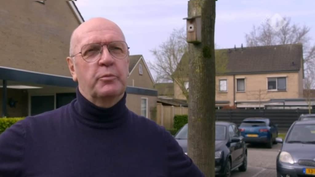 Imposante boom zorgt voor angst in De Rijdende Rechter