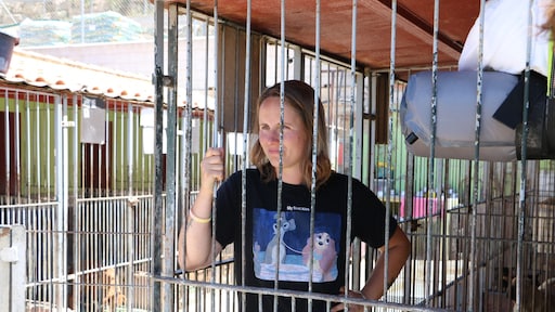 Kelly sloot zich 24 uur op in hondenhok om aandacht te vragen voor asielhonden