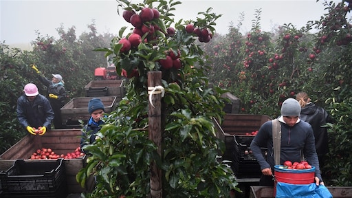 'Buitenlandse werknemers zijn geen oplossing voor personeelstekort'