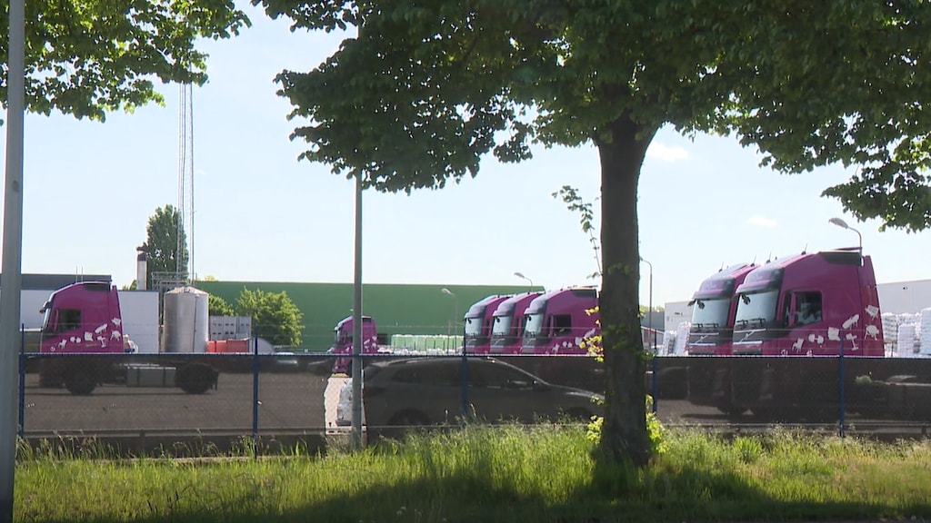 De vrachtwagens waar Roemeense chauffeurs in verblijven.