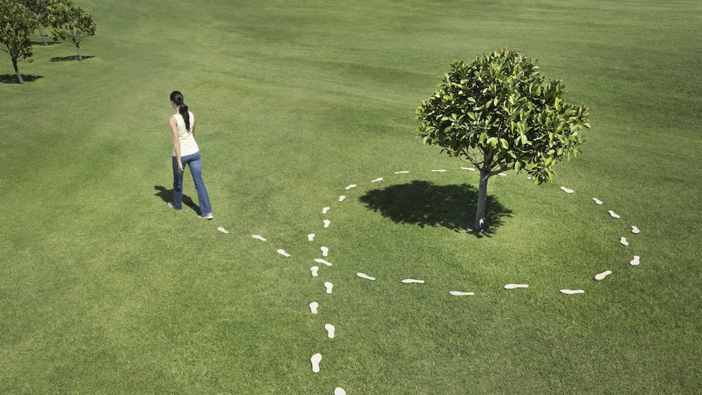 Bereken jouw ecologische voetafdruk