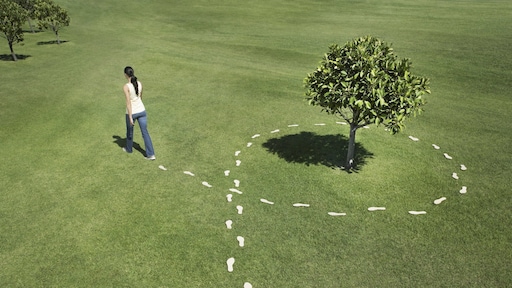 Bereken jouw ecologische voetafdruk