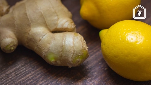 Zo kweek je thuis heel makkelijk een gemberplant