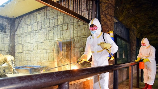 Aantal coronagevallen in Noord-Korea stijgt boven de 2 miljoen