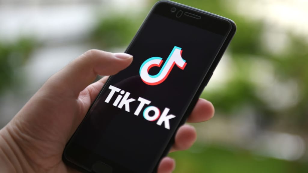 Drie partijen willen dat alle politici stoppen met TikTok