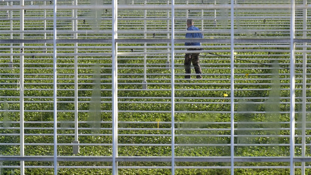 Kamerleden spreken schande van uitbuiting Oekraïners