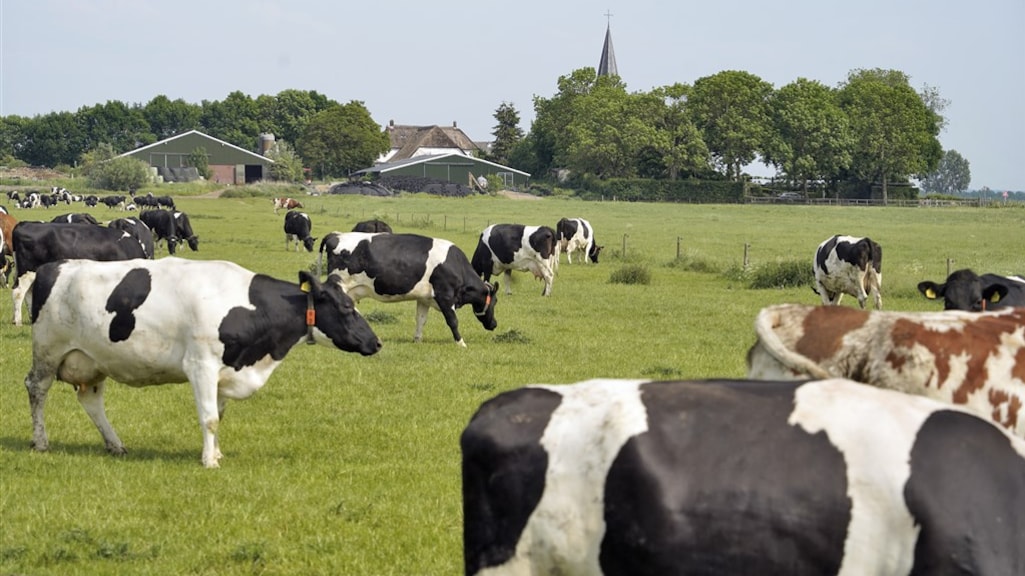 'Natuur nóg gevoeliger voor stikstof dan gedacht', mogelijk strengere regels