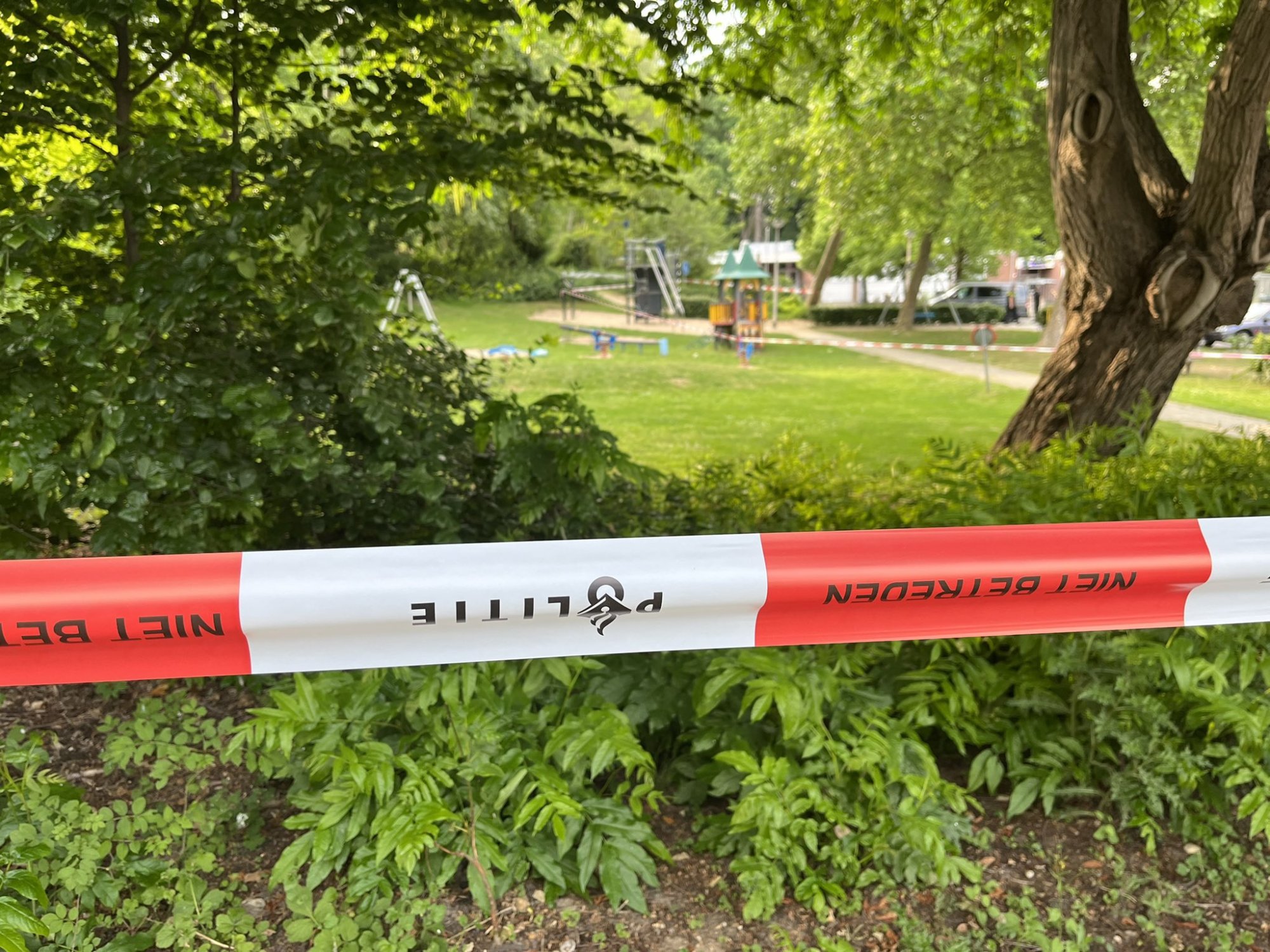 Politie onderzoekt vondst in zoektocht naar Gino