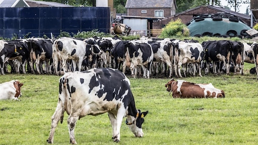 Honderden VVD'ers in opstand tegen stikstofplannen kabinet: 'Niet eerder gebeurd'