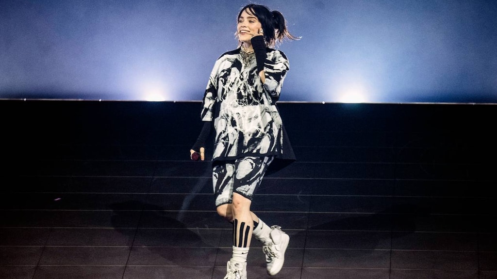 Snikheet, maar uren in de rij voor popidool Billie Eilish: 'Voor Billie neem ik het risico'