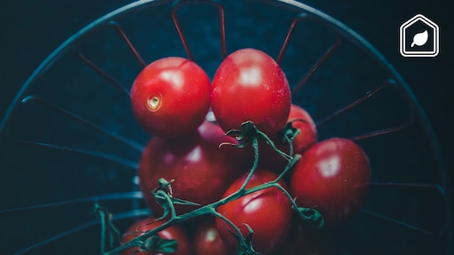 Overrijpe tomaten over? Stop ze in de grond!