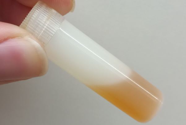 Trimbos: levensgevaarlijke vloeibare MDMA in omloop