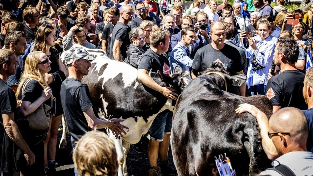 Kritiek op boerenacties zwelt aan: 'Stop met ontregelen samenleving'
