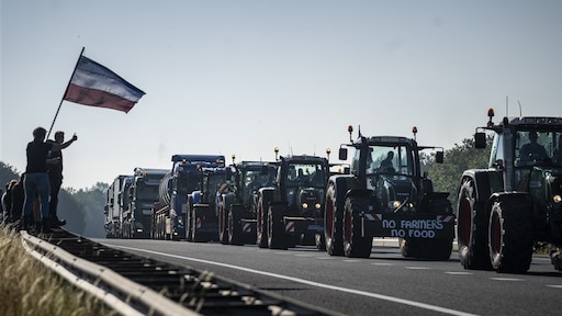 Wereldwijde aandacht voor protest Nederlandse boeren: 'Stikstofbom ontploft'