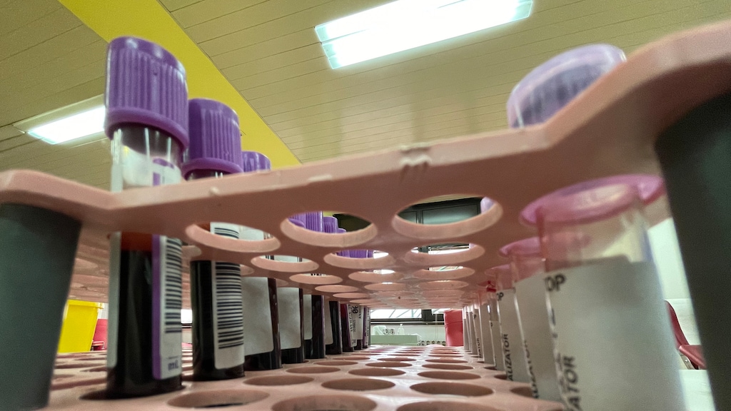 Apenpokkenvirus verspreidt zich snel in Europa: in twee weken verdrievoudigd