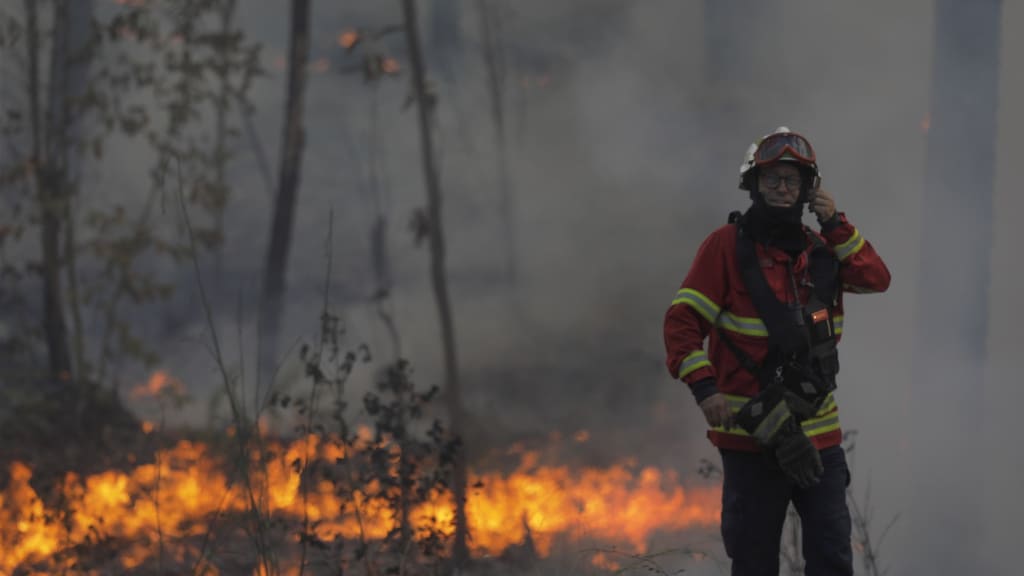 De hittegolf trekt over heel Europa. In onder meer Portugal leidt de extreme hitte tot grote bosbranden.