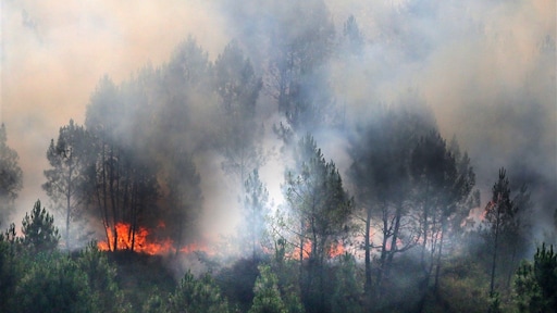 Bosbranden en hitte teisteren grote delen Zuid-Europa