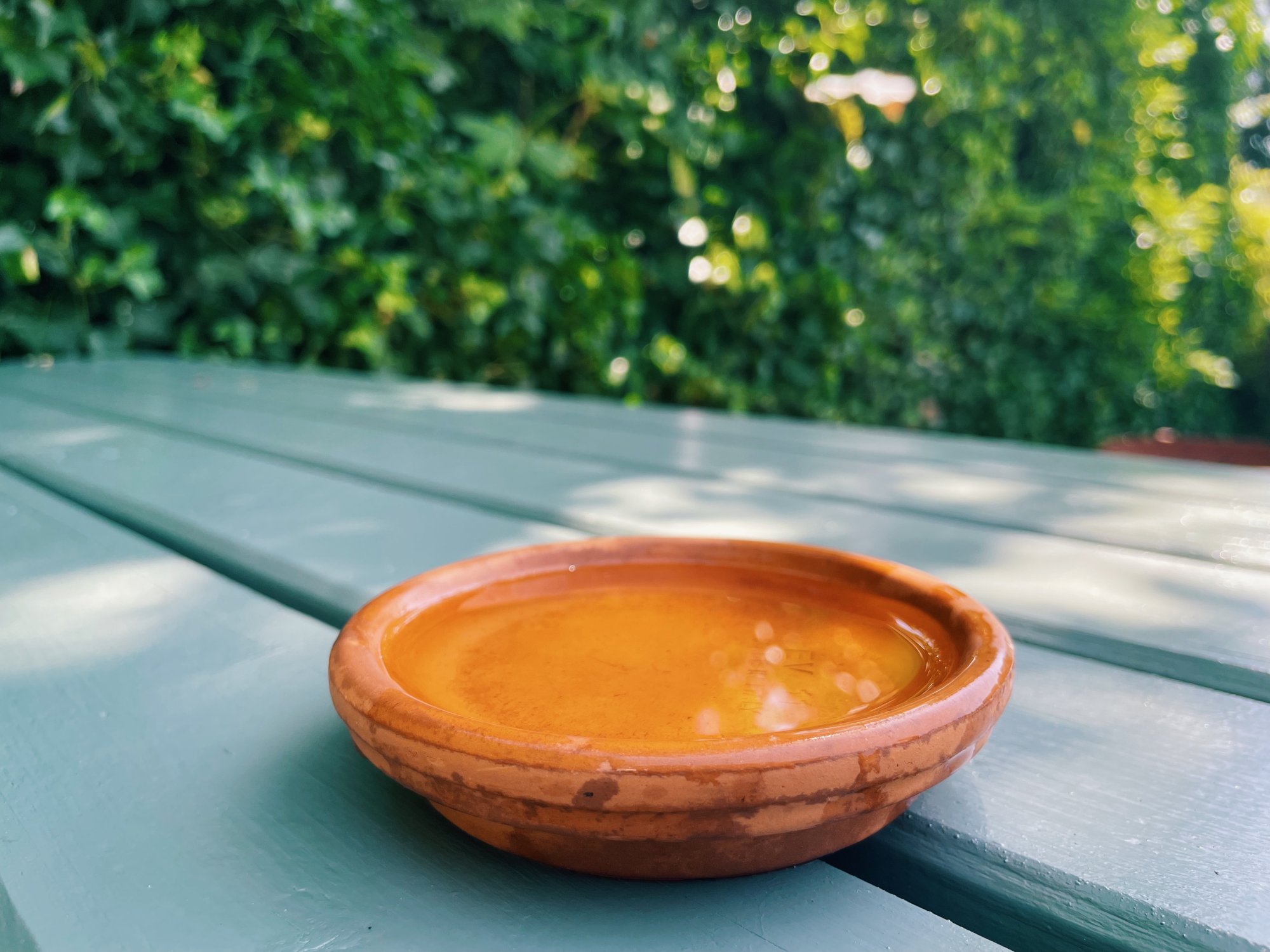 Een kleine, platte schaal: perfect voor oververhitte vogels