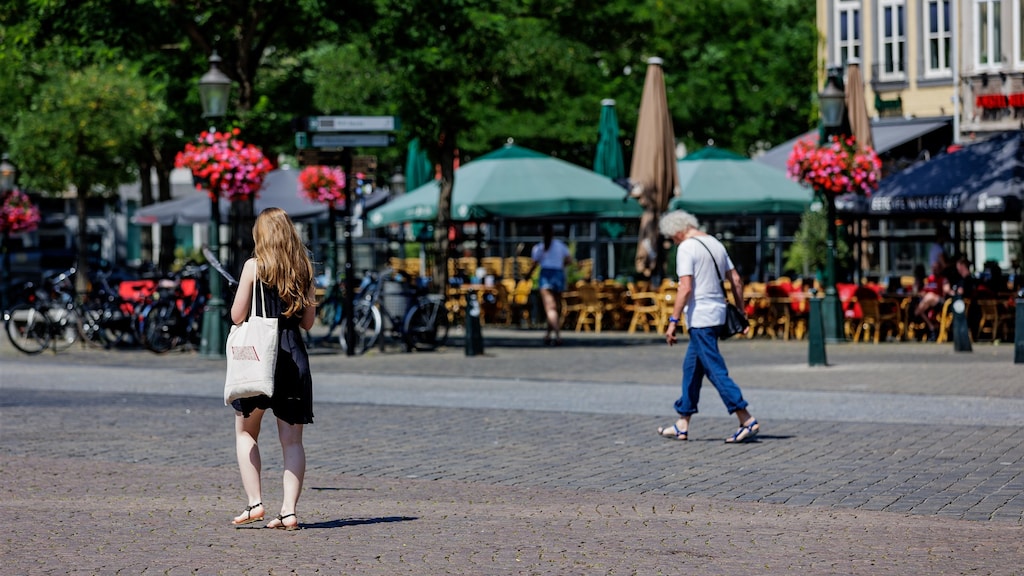 Druilerige dag na reeks hete dagen? Klimaatsceptici grijpen hun kans