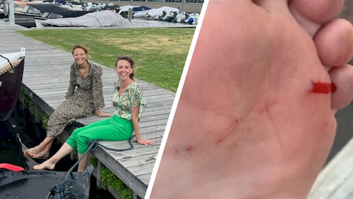 Lotte werd gebeten door een roofvis: 'Ze komen dichterbij dan je denkt'