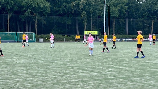 Sportevenement voor LHBTIQ+: 'In de hockeytop zie je geen homoseksuele mannen'