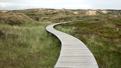 5 van de mooiste vlonderpaden in Nederland