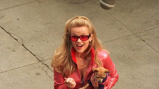 Raar maar waar: Top Gun 2 inspiratie voor Legally Blonde 3