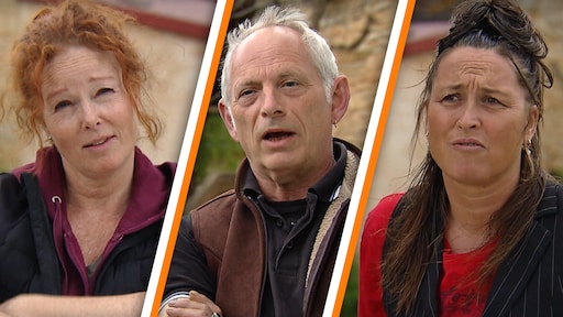 Jaloerse Petra in B&B Vol Liefde merkt: Hans trekt alles uit de kast voor jongere Daisy