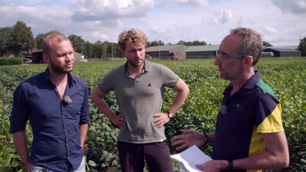 Deze boeren zijn eruit: koeien verkocht, alleen nog sojamelk