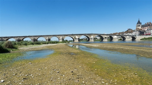 Grote zorgen om opgedroogde rivieren: 'Het gaat heel snel nu'