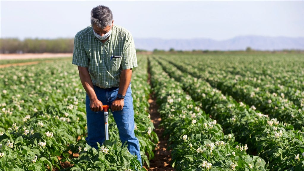 'Met iedere dag droogte wordt de situatie voor boeren urgenter'