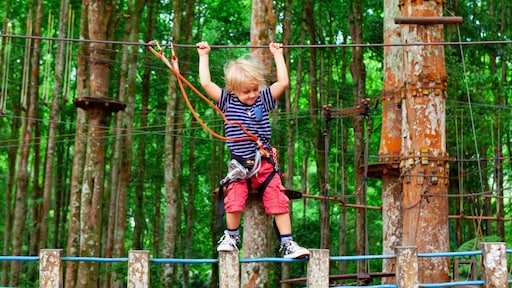 'Het leven zit vol gevaren, ja. Die horen er nu eenmaal bij'
