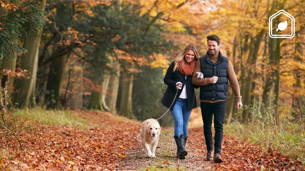 8 redenen waarom wandelen goed is voor je gezondheid