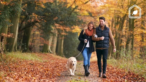 8 redenen waarom wandelen goed is voor je gezondheid