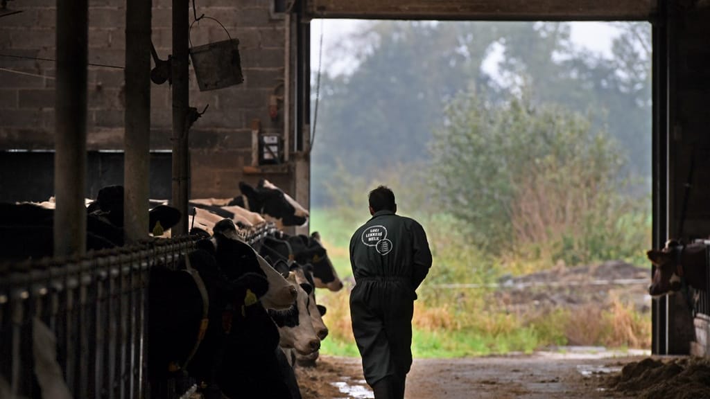 'Uitkoopregeling boeren is mogelijk ongeoorloofde staatssteun'