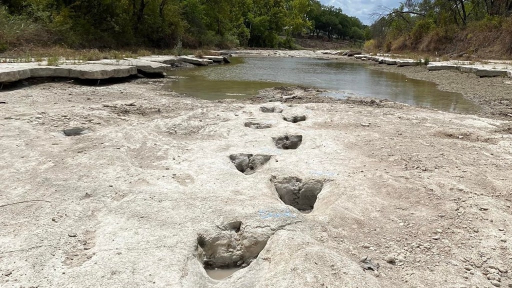 Extreme droogte legt voetsporen enorme dino's bloot in rivier Texas