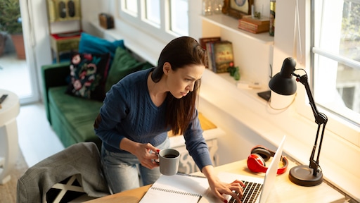 Alsjeblieft: duizend euro om kosteloos een online opleiding te volgen. Welke kies jij?