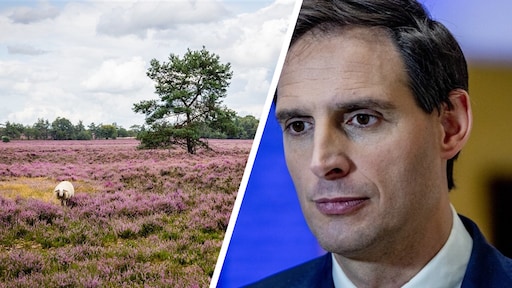 De stikstofdoelen een paar jaar vooruitschuiven: kan en mag dat wel?