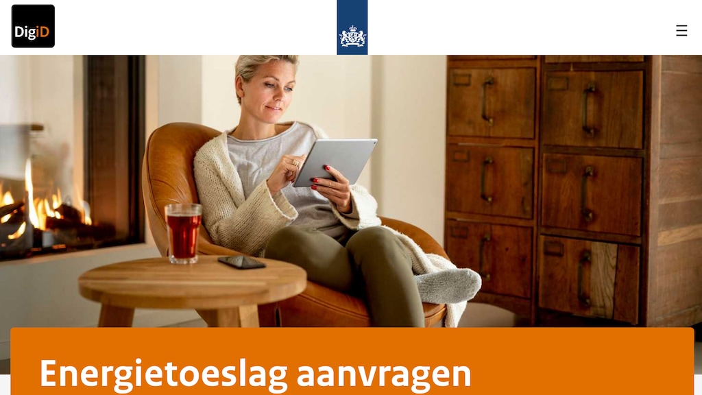 Zo ziet de nepwebsite van de criminelen eruit.