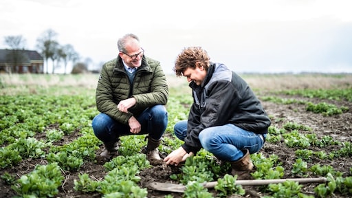 De voordelen van een gezonde bodem